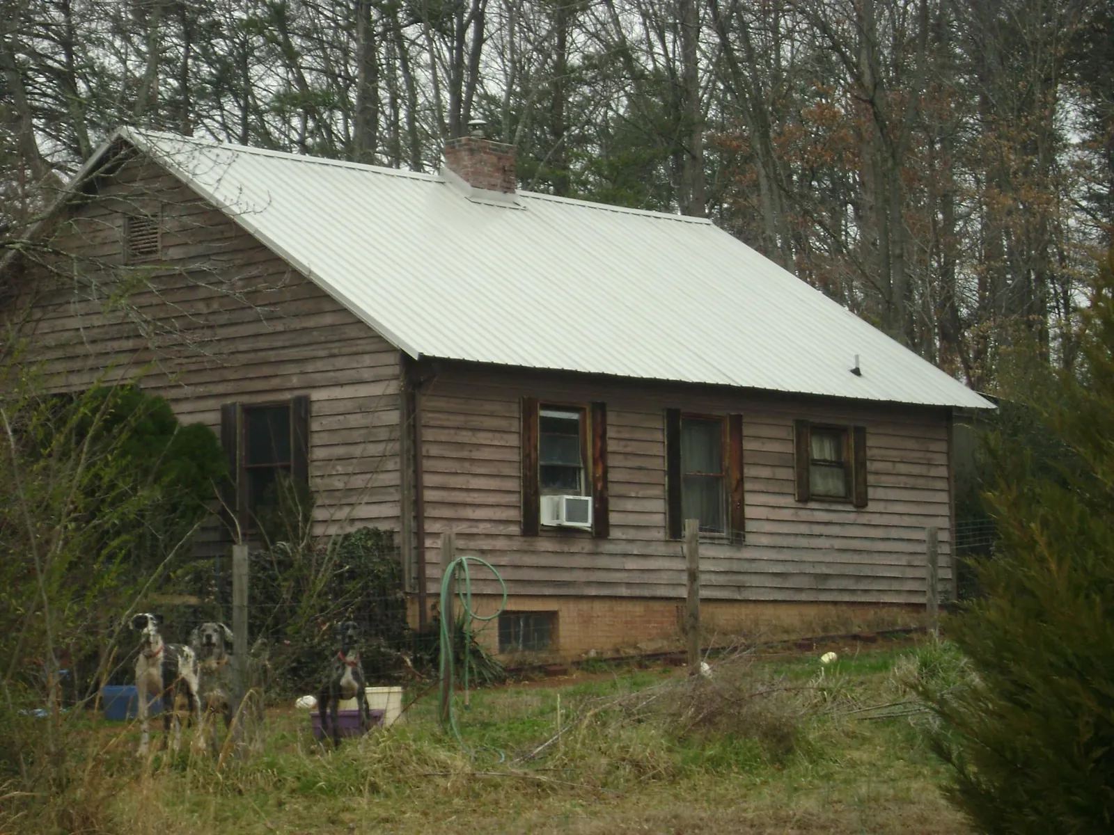 White metal roof on an old wood sided farmhouse, from a Asphalt Shingle Roof Repair job in Alberta